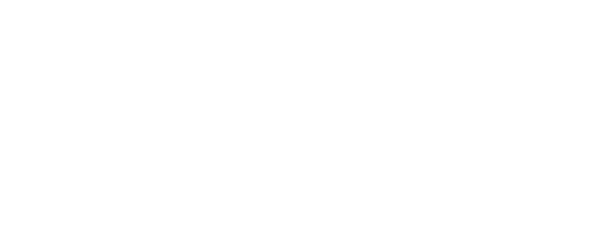 Logo Departamento de Visualización Interactiva y Realidad Virtual