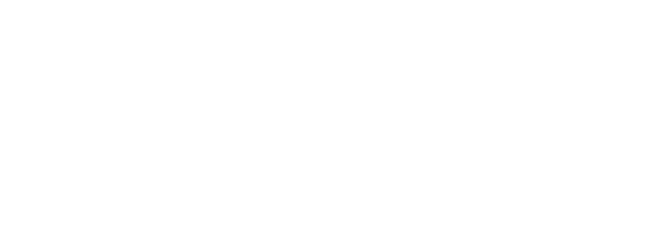 Logo Computational Intelligence Society